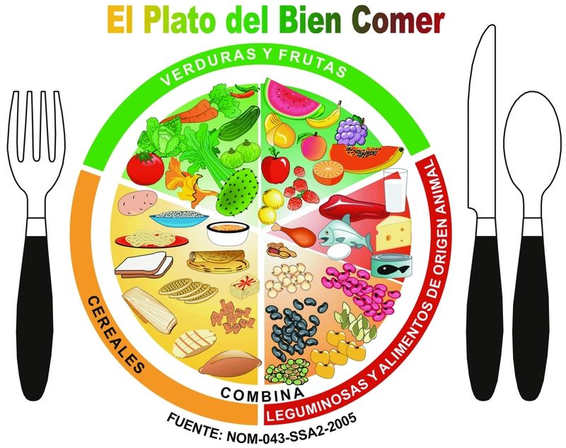 Auf diesem Teller sieht jeder, wie viel Anteile Obst, Gemüse oder Fleisch er am Tag essen sollte.
