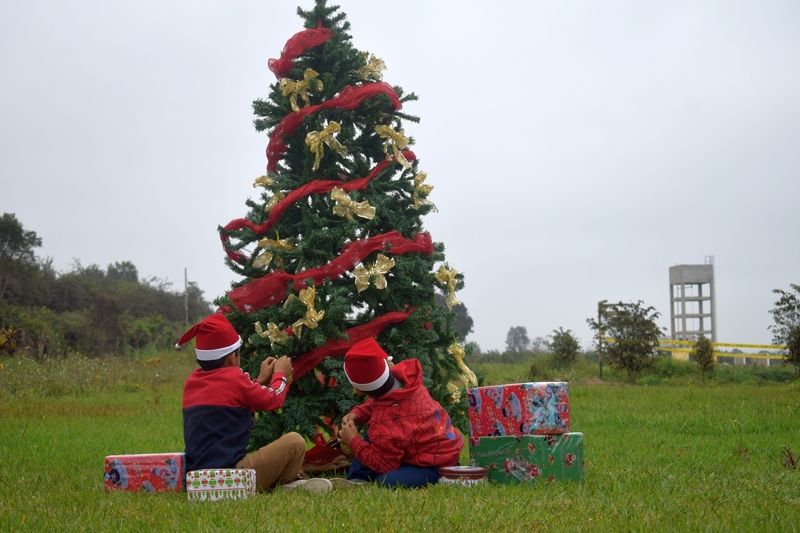 Den Weihnachtsbaum zum schmücken – Rance und Marlon hatten großen Spass dabei.