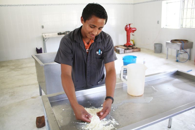 Ausgebildete Jugendliche helfen bei der Käseproduktion.