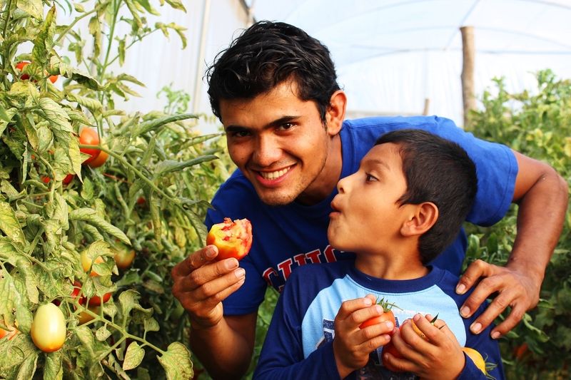 Zwei, die sich gut verstehen. Diego und der sechsjährige Marcial naschen von den reifen Tomaten.