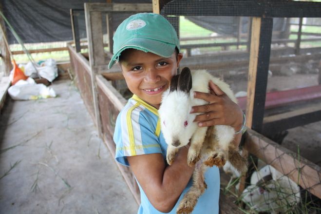 Manche Kinder haben noch nie ein Kaninchen gestreichelt. Auf der Farm bei nph lernen sie die Fürsorge für die Tiere und gleichzeitig den respektvollen Umgang mit ihnen.
