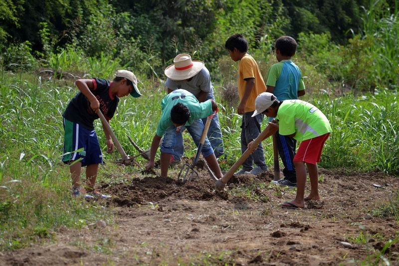 In Peru baut die nph-Familie derzeit einen Bio-Gemüsegarten auf.