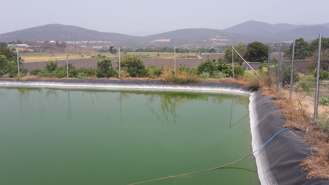Bewässerungsteiche fangen in der Regenzeit das Wasser auf, dass in der Trockenzeit für die Bewässerung verwendet wird. Gleichzeitig züchtet nph Fische in den Bewässerungsteichen.