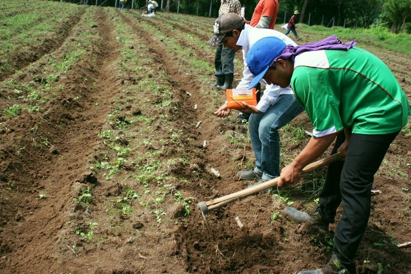 Beim Helfen oder im Rahmen des Unterrichts erlernen die Kinder im nph-Kinderdorf einfache landwirtschaftliche Fähigkeiten.